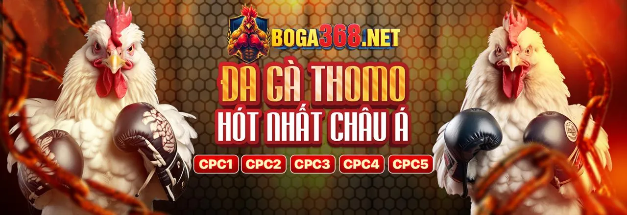 Đá Gà Trực Tuyến bet11 nhà cái